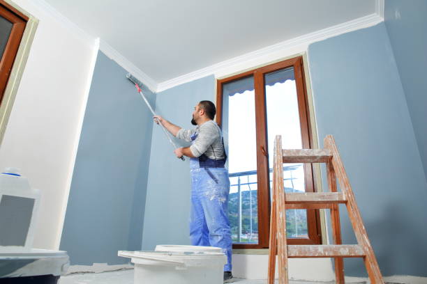 Best Exterior Painting  in Fairlawn, VA