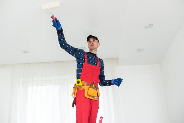 Best Repainting for Renovations  in Fairlawn, VA